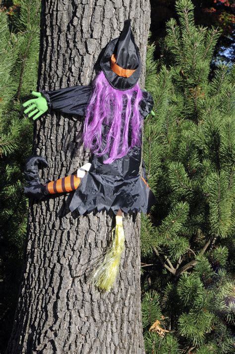 Witch hitting a tree